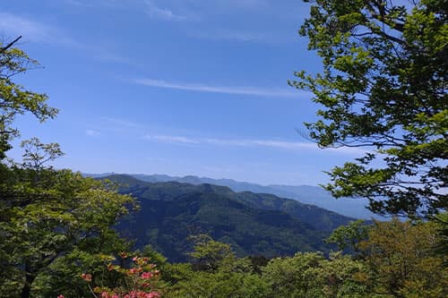 笠山