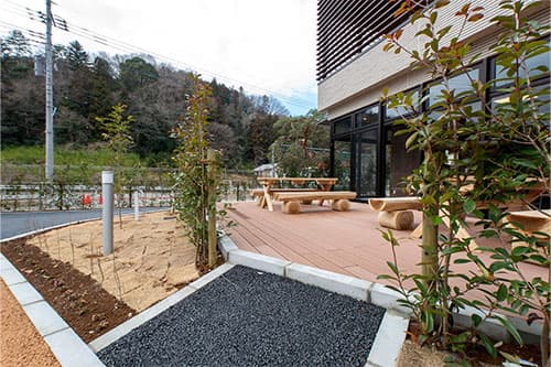庭