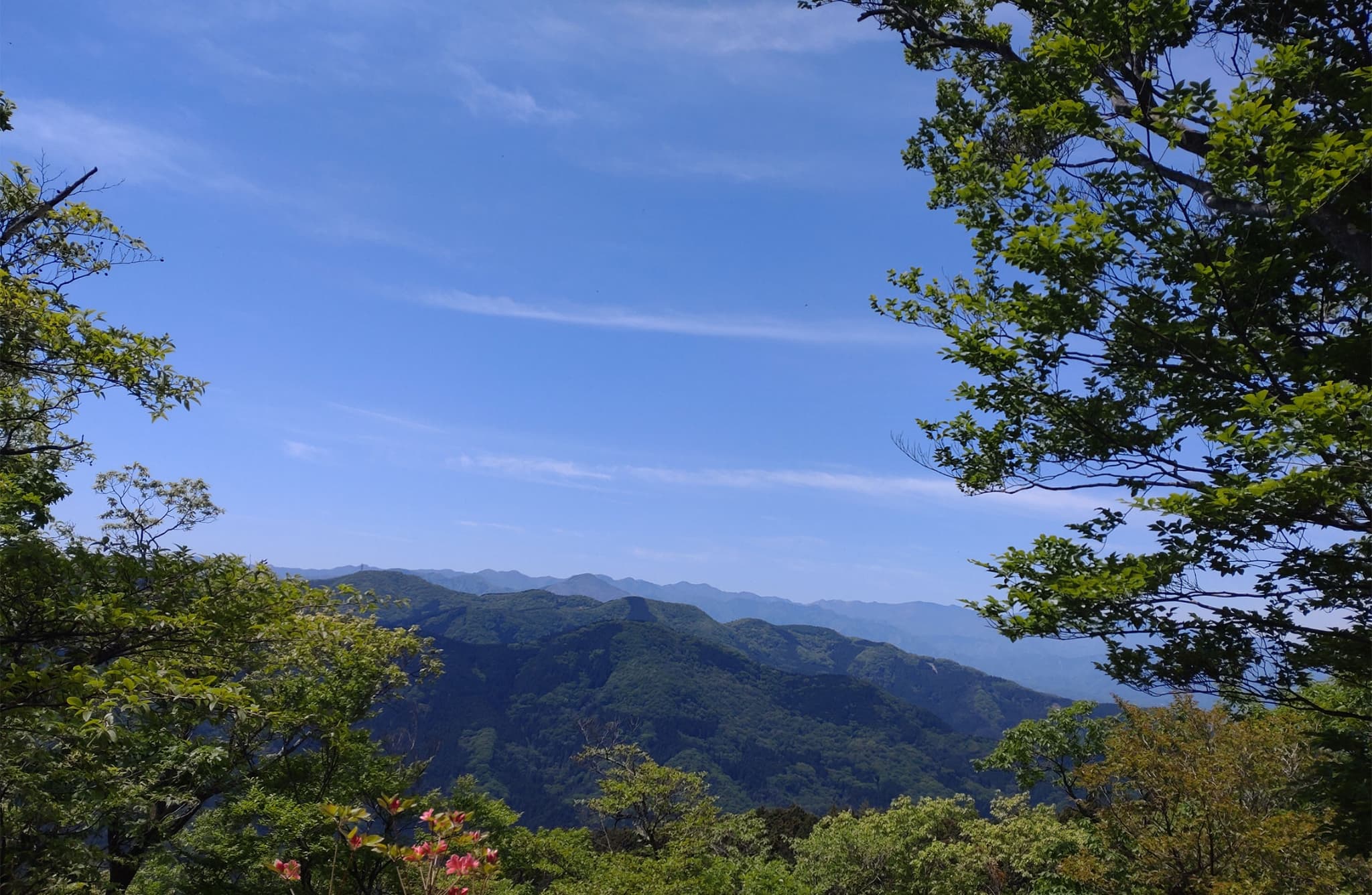 運営方針